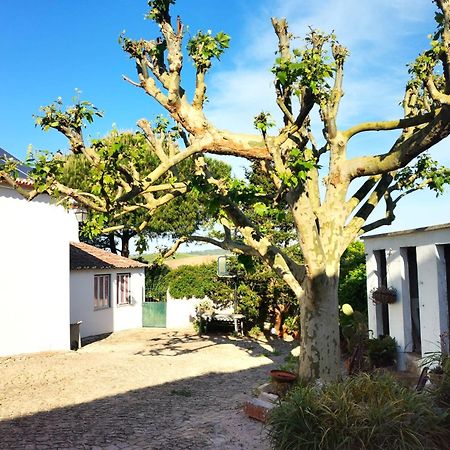 Quinta Santo Antonio Villa Pereiro da Palhacana Exteriör bild